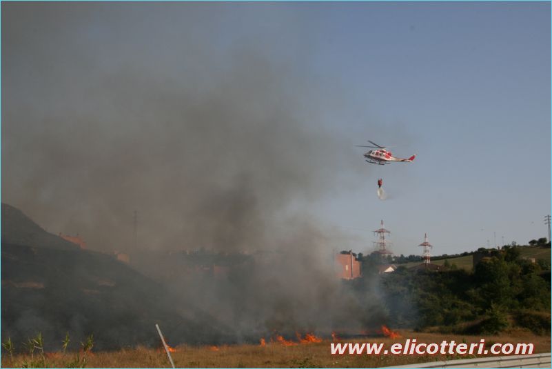 elifoto (182)